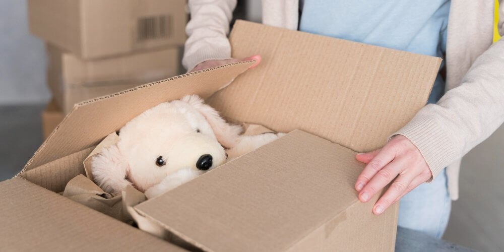 Przesyłka kurierska z pluszowym misiem